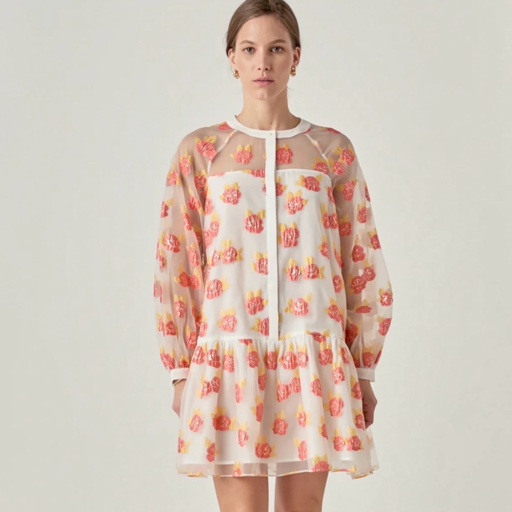 NEVER WORN English Factory Floral Jacquard Organza Long Sleeve Button Mini Dress